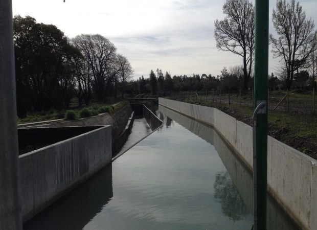 IMG_2194-620×450 | Agrosonda