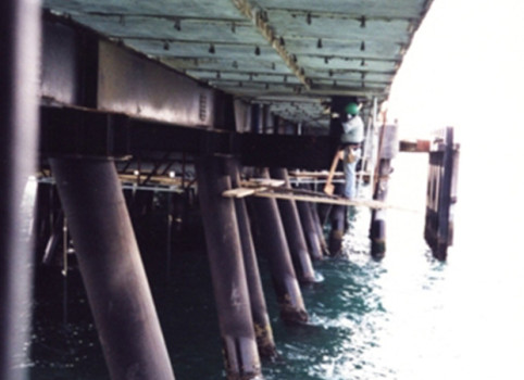 100-Puerto-Ventanas-Muelle-1994b | Agrosonda
