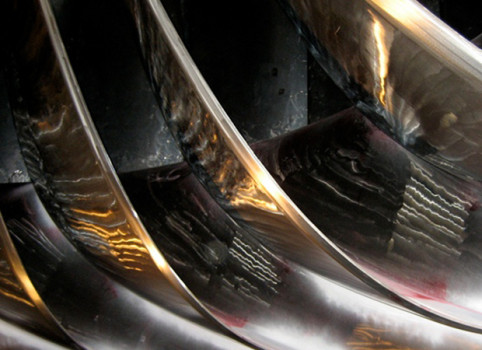 258-Pangue-y-Palmucho-2006b | Agrosonda