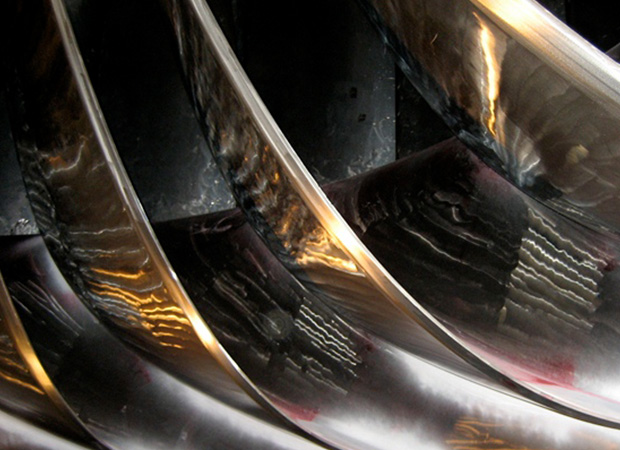 258-Pangue-y-Palmucho-2006b | Agrosonda